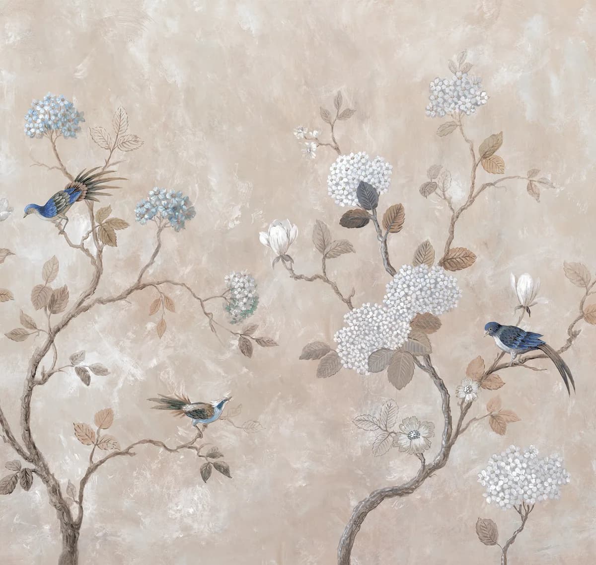 Etude vol. II